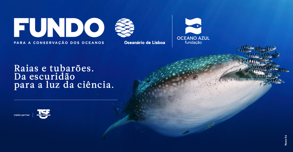 Fundo para a Conservação dos Oceanos | Oceanário de Lisboa e Fundação Oceano Azul