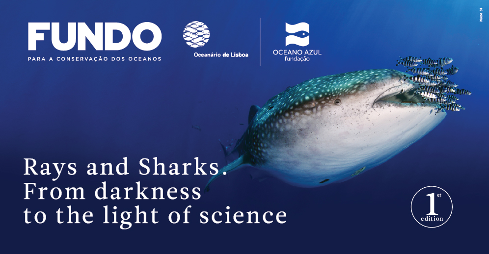 Ocean Conservation Fund | Oceanário de Lisboa and Oceano Azul Foundation | Rays and Sharks, From darkness to the light of science