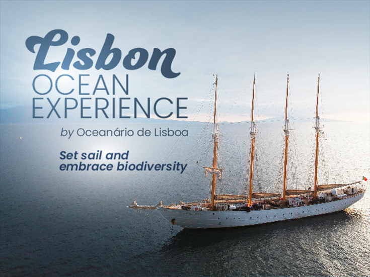 Lisbon Ocean Experience