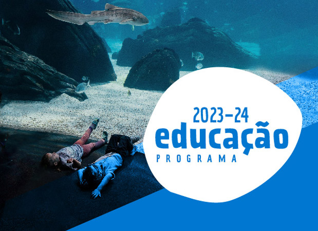 Atividades para escolas no Oceanário de Lisboa. Conheça o programa educativo!