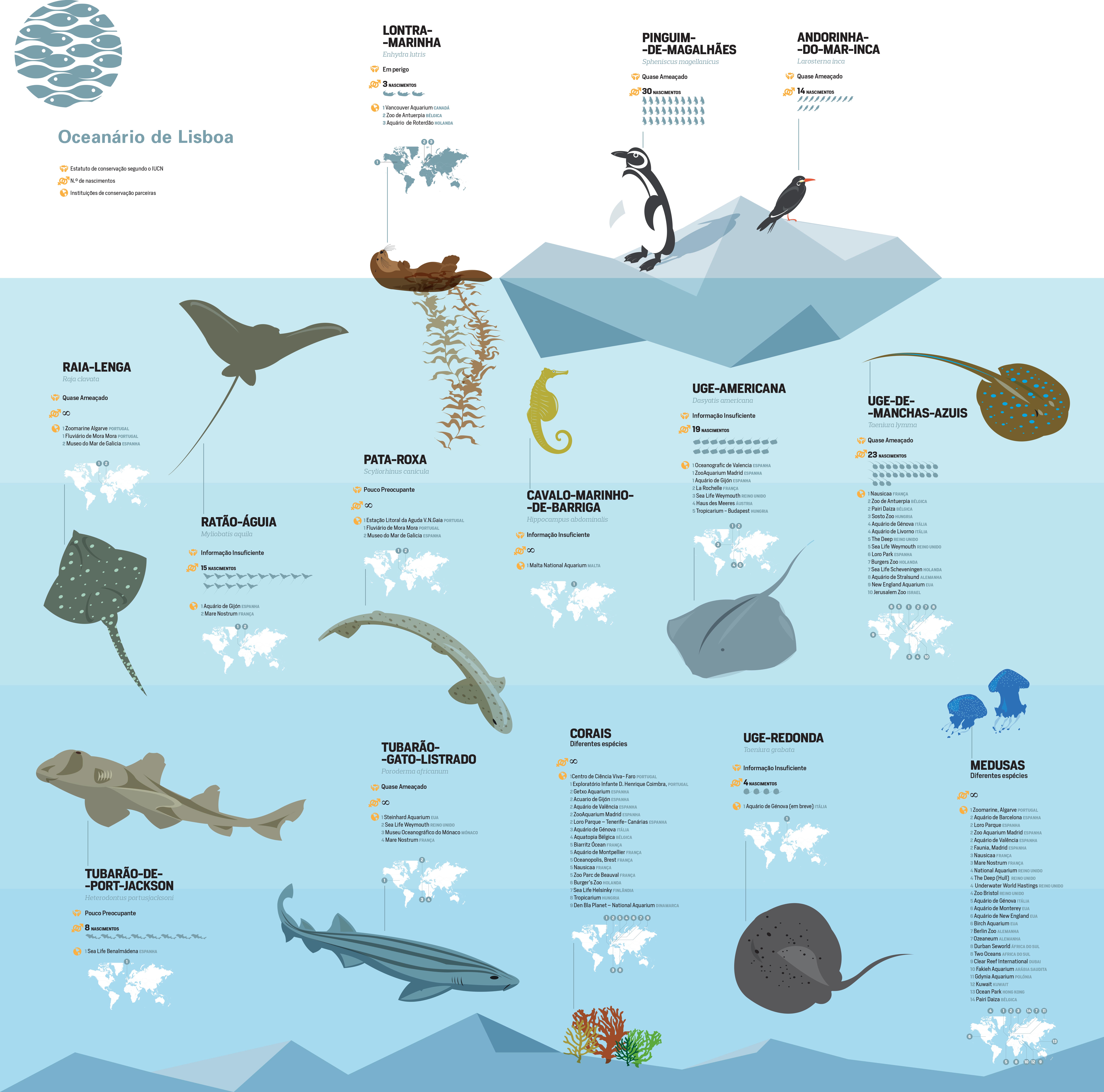 Infografia das espécies reproduzidas do Oceanário de Lisboa