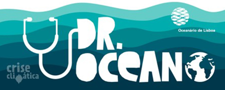 Atividades para escolas no Oceanário de Lisboa. Programa educativo 1.º ciclo «Dr. Oceano».