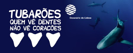 Atividades para escolas no Oceanário de Lisboa. Programa educativo 1.º ciclo «Tubarões: quem vê dentes não vê corações».