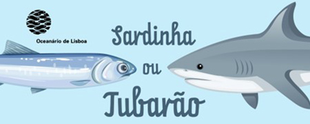 Atividades para escolas no Oceanário de Lisboa. Programa educativo pré-escolar «Sardinha ou Tubarão».