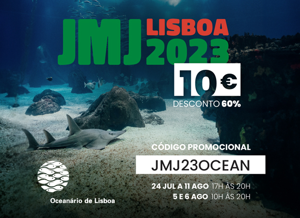 Jornada Mundial da Juventude Lisboa 2023 - Oceanário de Lisboa
