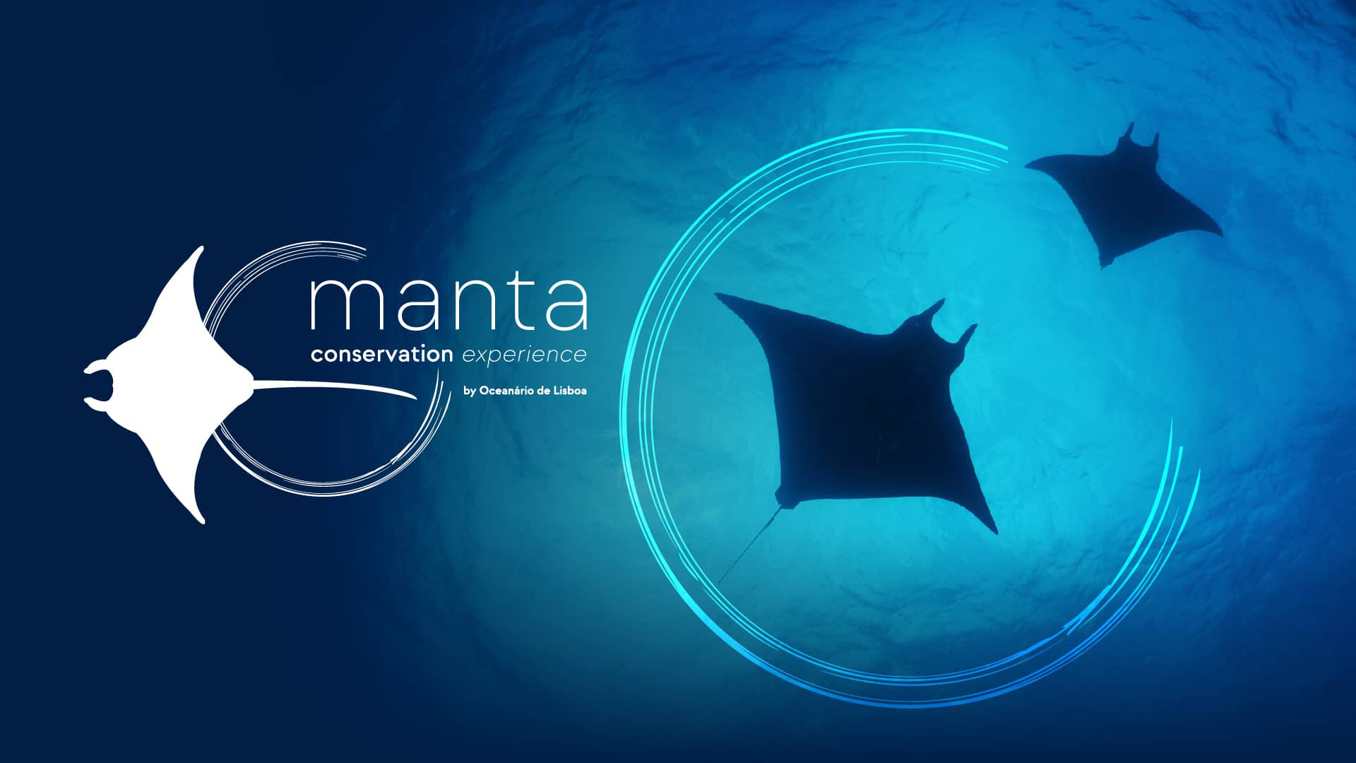 manta conservation