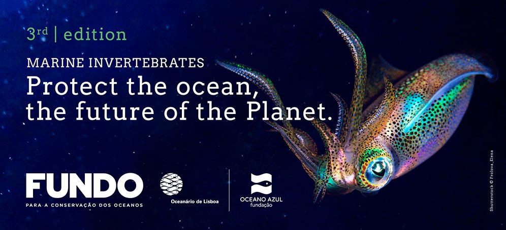 3rd Edition | Ocean Conservation FUND | Oceanário de Lisboa and Oceano Azul Foundation