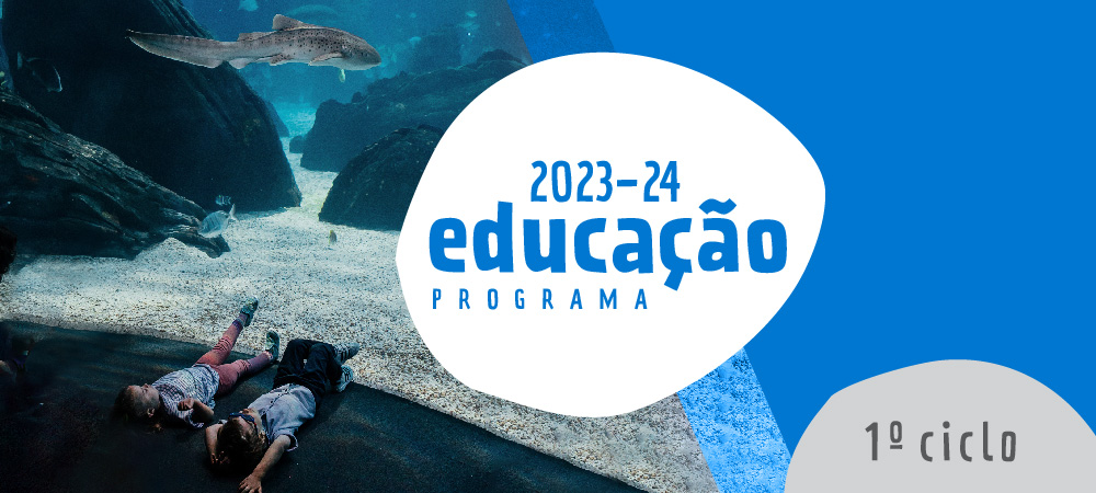 Atividades para escolas no Oceanário de Lisboa. Conheça o programa educativo do 1.º ciclo.